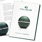 Brochure Design